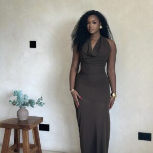 Ressa Cowl Neck Dress