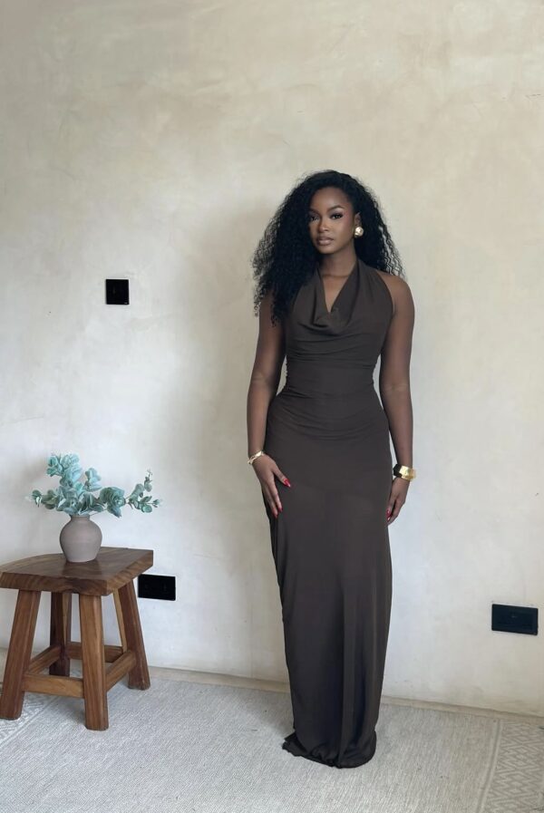 Ressa Cowl Neck Dress