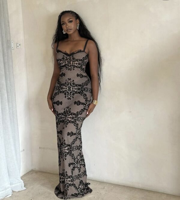 Chantily Ilusion Dress